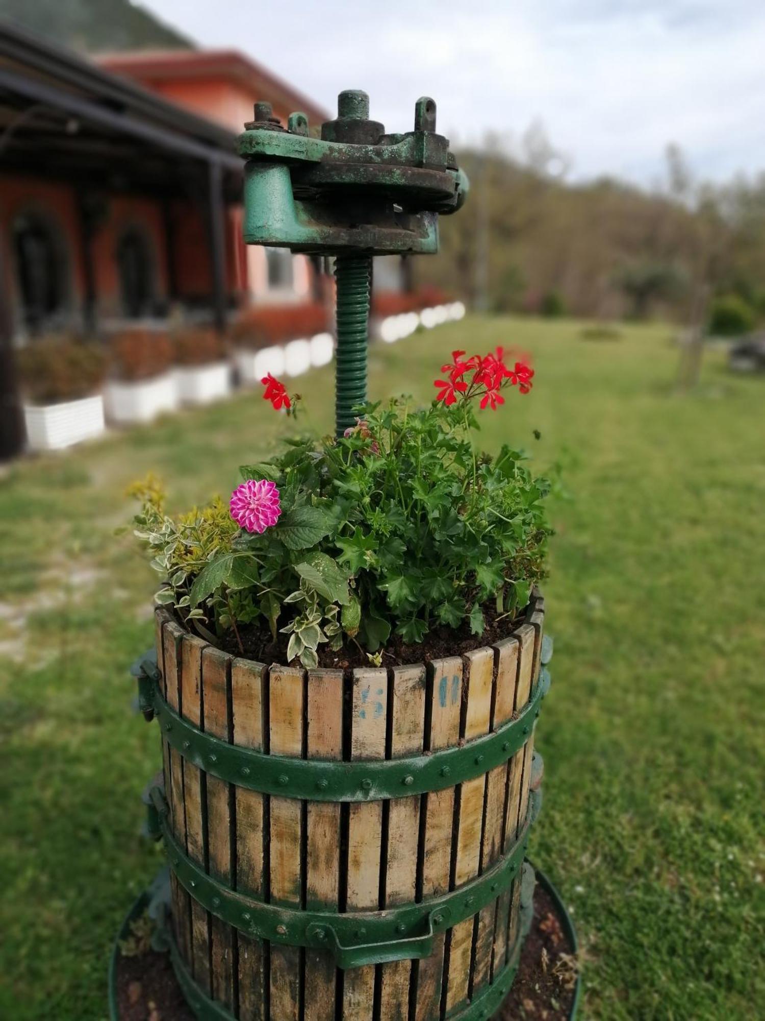 Salisu Country House Mignano Monte Lungo Eksteriør billede